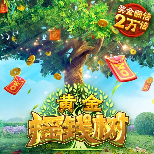 小入视频手机版